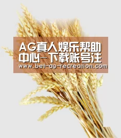 AG真人娱乐帮助中心-下载账号注册登录教程|游戏玩法客服指引