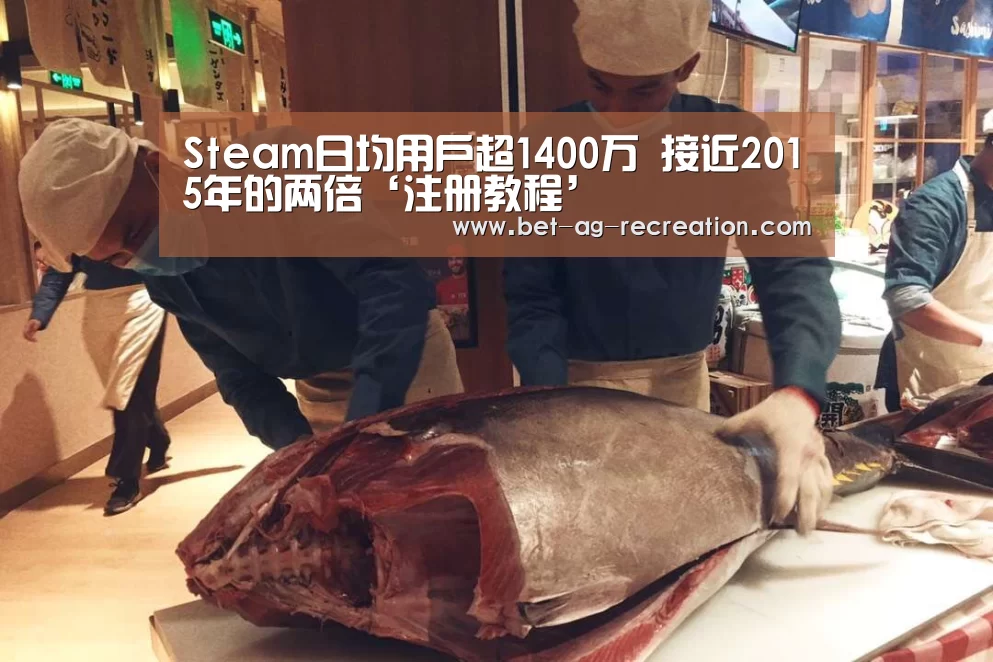Steam日均用户超1400万 接近2015年的两倍‘注册教程’(图3) 游戏玩法