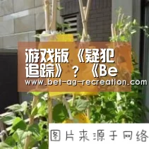 游戏版《疑犯追踪》?《Beholder》监听背后有阴谋:AG真人娱乐帮助(图2) 游戏玩法